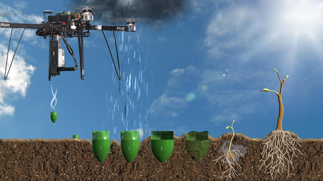 Des drones pouvant planter 400 000 arbres par jour en tirant des missiles de graines