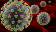 Covid-19: les chercheurs identifient un anticorps capable de neutraliser l’infection
